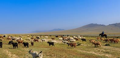 阿妈蒙餐原材料来源地